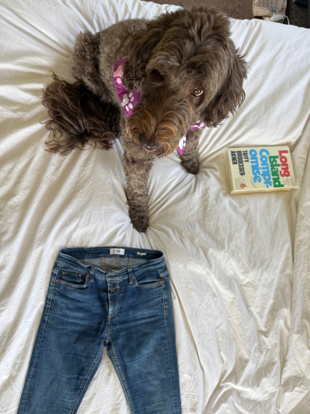 Closed Denim Jeans